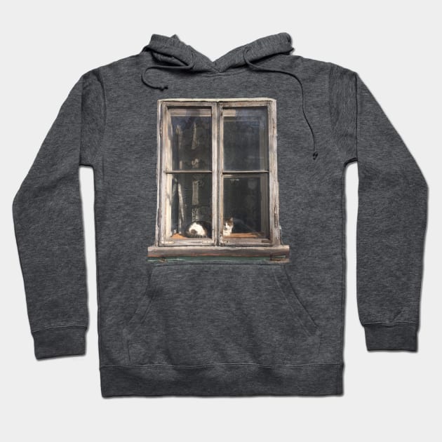 Window Cat Hoodie by TenomonMalke